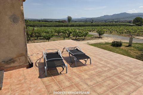 Landejendom i Ginestar, Tarragona, Ginestar - € 160.000 | Ref: 1017 Panela - foto 18